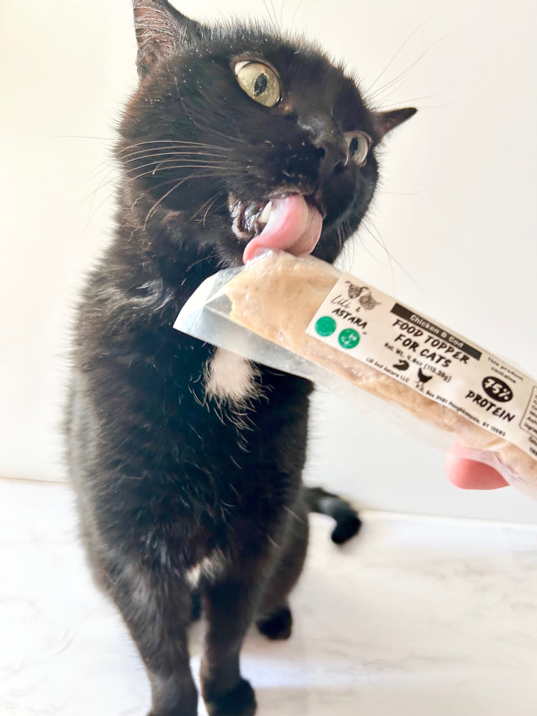 The Best Lickable Cat Treat