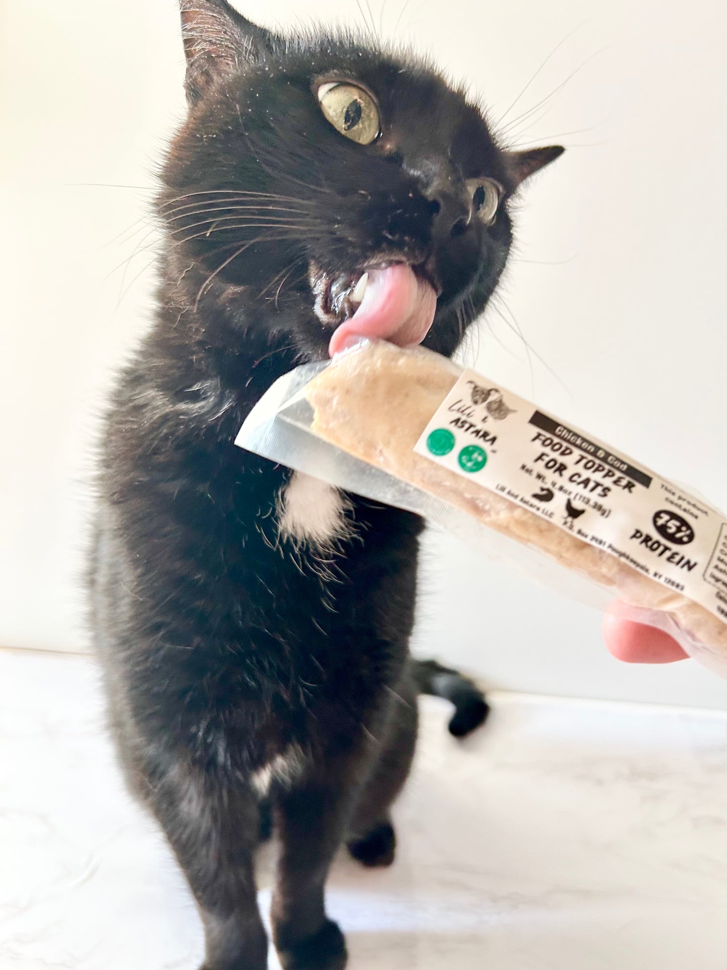 Black cat holding a package of cat food