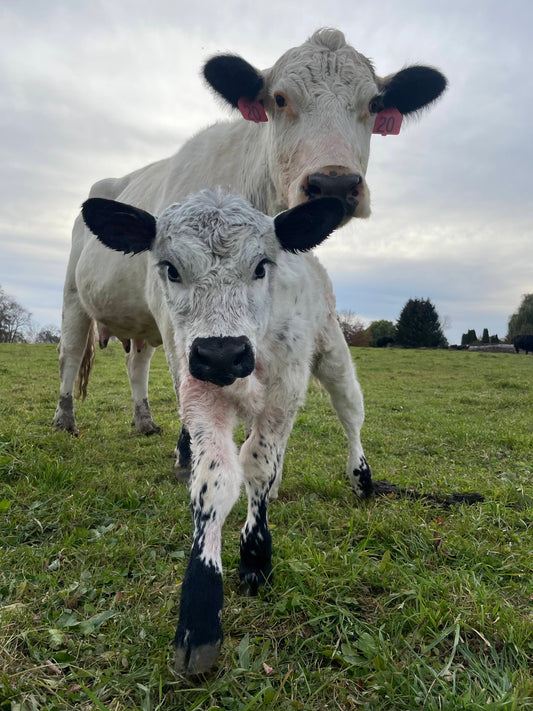 Farm Spotlight: Northwind Farms